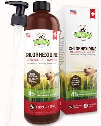 The Best Chlorhexidine Shampoo For Dogs Our Top Picks