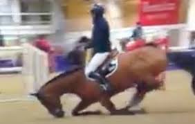 Vous trouverez dans cette catégorie une grande sélection de tapis afin d'équiper votre cheval. Penelope Leprevost Horse Hound