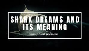 Maybe you would like to learn more about one of these? What It Means To Throw Up In Dreams Meaning And Interpretation Spiritual Galaxy Com