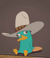 Perry the platypus face mask, phineas and ferb fashion mask, reusable, washable, cool design, very comfortable, 100% cotton inside gimmeshelterinc. Perry The Platypus Gifs Tenor
