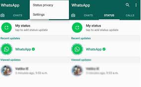 By default, status updates on whatsapp vanish automatically after 24 hours. Whatsapp S New Status Feature Is Now Live For All Here S How To Use Technology News The Indian Express