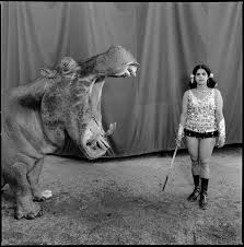 MARY ELLEN MARK: VIDAS DE MUJERES