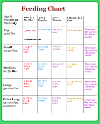 46 particular food chart for puppies