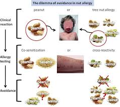 13 Skillful Allergy Cross Sensitivity Chart