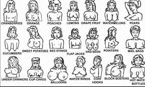 The Best Breast Chart Where Do You Fit In