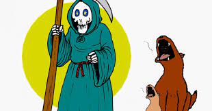 Can Dogs Sense When Someone Is About To Die Psychology Today