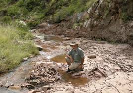 Researchers scan most complete heterodontosaurus skeleton ever found