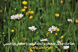 صور صباح الخير واجمل عبارات صباحية للأحبه والأصدقاء موقع مصري Good Morning Flowers Good Morning Arabic Morning Flowers