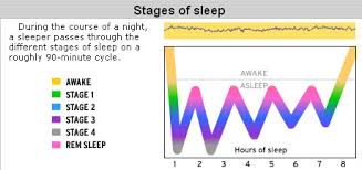 Ysk Sleep Cycles Occur In 90 Minute Intervals Get Up When