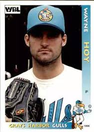 Grays Harbor Gulls Gallery