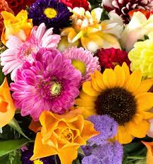 Maybe you would like to learn more about one of these? Albuquerque Florist Inc Home Facebook