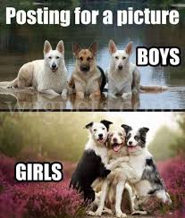 Pin On Funny Pets Animals Dog Cat Lover Gifts And Meme