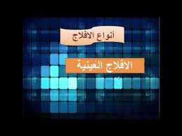نقدم لكم في هذا المقال امساكية رمضان 2021 في الافلاج، رزنامة رمضان 2021 الافلاج. Ø§Ù„Ø§ÙÙ„Ø§Ø¬ ÙÙŠ Ø¹Ù…Ø§Ù† Youtube