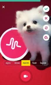 Imagine a collection of 2,000 music cds stored in plastic cases on a bookshelf, reduced to just one slender computer hard drive. Musical Ly Lite Apk For Android Download