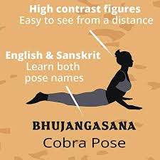 Check out our yoga therapy section to learn which yogic practices have been shown to have healing qualities for common complaints. Amazon Com The Mindful Word Yoga Poses Poster 24x36 Inches Yoga Poster With 62 Beginner Int Asanas Positions Stretches Printed On 100 Recycled Paper Postures In English Sanskrit Rolled Tube