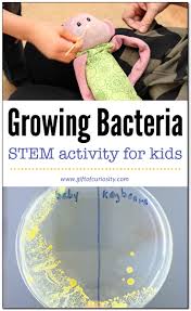 Growing Bacteria In A Petri Dish Stem Activity For Kids Gift Of Curiosity