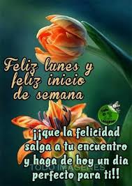 Te deseo una excelente semana. Pin De Vilma Del Carmen Sibaja Sanche En Buenos Dias Imagenes De Feliz Lunes Se Bueno Saludos De Buenos Dias