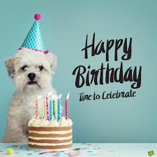 Just like fine wine ecard. Happy Birthday Cute Dog Heart Touching Wishes For Puppies