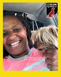 Horse playing with a bucket in a rescue setting