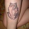 Tetování kočky může být dobrým talismanem pro nepřízeň. 1