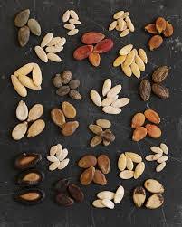 Contoh soal narrative text pilihan ganda beserta jawabannya. Kumpulan Contoh Soal Bahasa Inggris Smp Mts Dengan Jawaban Kelas 9 Kurikulum 2013 Procedure Text Mediainggris