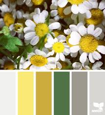 Pin On Kleurinspiratie Colour Inspiration Kleurentrends Color Palettes