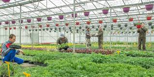 Les Jardins De Villers Fetent Leurs 30 Ans Meuz Info