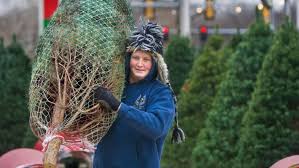 Maybe you would like to learn more about one of these? How To Find The Best Christmas Tree Prices