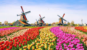 Olanda synonyms, olanda pronunciation, olanda translation, english dictionary definition of olanda. 10 Lucruri Pe Care Sigur Nu Le Stiai Despre Olanda