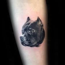 We did not find results for: 50 Pitbull Tattoo Designs For Men Dog Ink Ideas