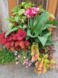 2019 Shades Of Pink In 2020 Container Garden Design Vegetable Garden Tips Container Gardening