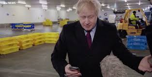 Quiz We Ll Tell You Who To Vote For Based On Policies