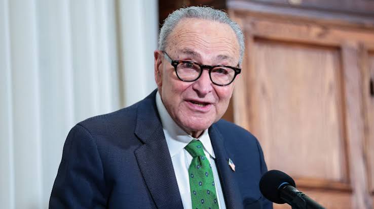 Schumer's path to the majority runs through his Democratic critics