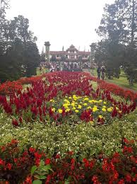Taman ini dibangun di atas lahan. Taman Bunga Nusantara Surga Bagi Para Pencinta Bunga Halaman All Kompasiana Com