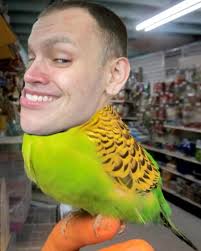 They're s(o) lu(c)ky that am there for 'em :)