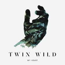 My Heart Twin Wild Willow Tree Twins Album Cover Design