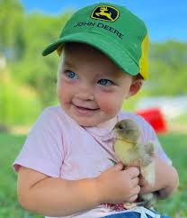 Muscovy ducklings for sale in New Orleans