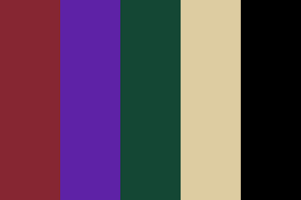 The team first played at. Arizona Coyotes Concept Color Palette