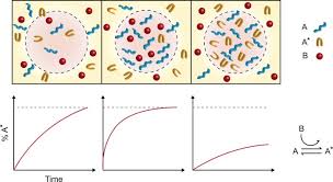 Check spelling or type a new query. On The Origin Of Non Membrane Bound Organelles And Their Physiological Function Sciencedirect