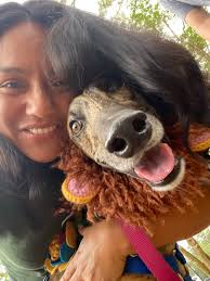 Wolfdog meet up at Bonham State Park today