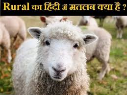Rural Meaning In Hindi Rural क ह द म मतलब क य ह In 2020 Animals Sheep Livestock