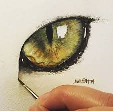 Art Drawing And Eye Image Eye Painting Watercolor Cat Eye Drawing