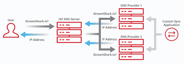 Service Update Multi Dns Streamshark