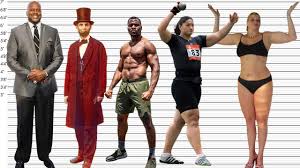 (193 cm) and a weight of 249.12 ft. Francis Ngannou Height Comparison Youtube