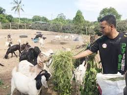 We did not find results for: Aku Penggembala Kambing