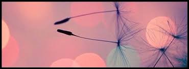 Download and use 5,000+ facebook cover stock photos for free. Facebook Covers Timeline Covers Facebook Timeline Pretty Facebook Covers Photos Simple Facebook Fb Covers Love