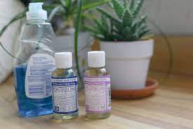 How To Use Dr Bronners As Insecticidal Soap Hunker Insecticidal Soap Bar Soap Molds Natural Insecticide