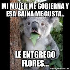 Yo sé que ella, se lo disfruta. Meme Koala Mi Mujer Me Gobierna Y Esa Baina Me Gusta Le Entgrego Flores 11541711
