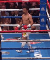 Jun 07, 2021 · even by the standards of an exhibition bout, sunday's clash between floyd mayweather and logan paul was a massive disappointment. Manny Pacquiao Meme Gifs Tenor