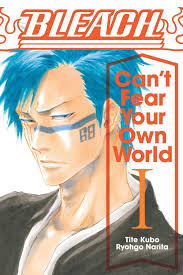 Bleach: Can't Fear Your Own World, Vol. 1 (Light Novel)